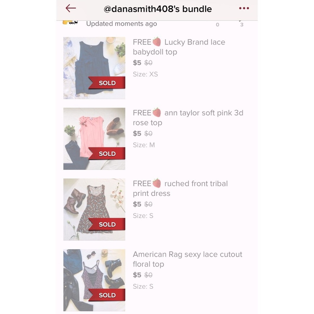Bundle Reserved for danasmith408 only
